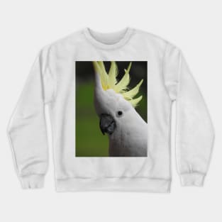 Sulphur Crested Cockatoo Crewneck Sweatshirt